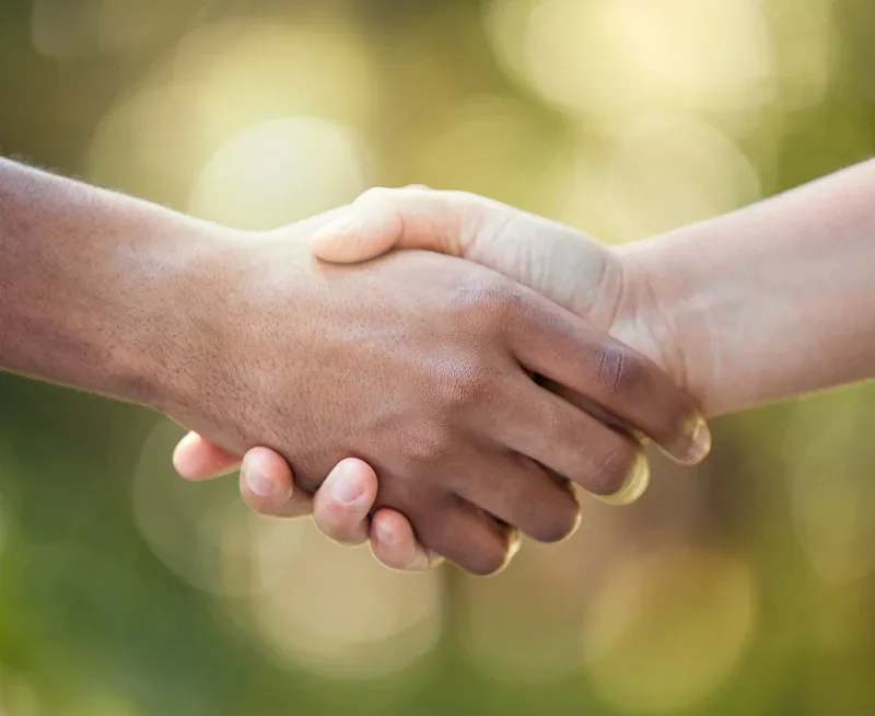 Warm skin-tone handshake symbolizing trust and unity in a sunlit outdoor setting