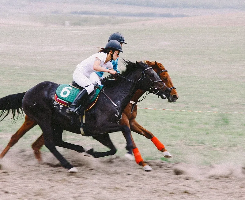 Thoroughbred race on open track, black horse with green saddle cloth 6 and crouched jockeys side by side.