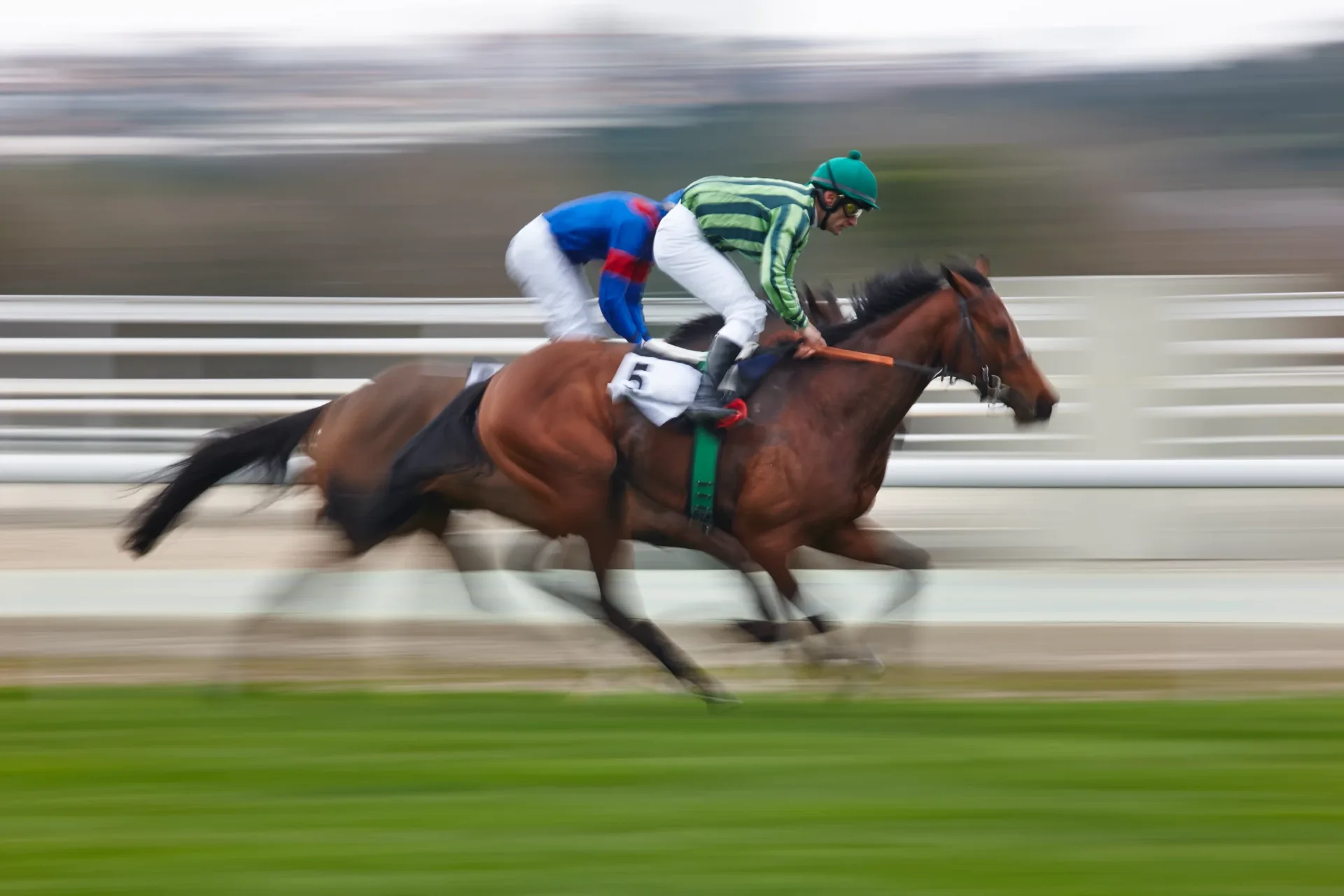 Bay racehorse galloping full speed, jockey in green silks, panning motion at finish line