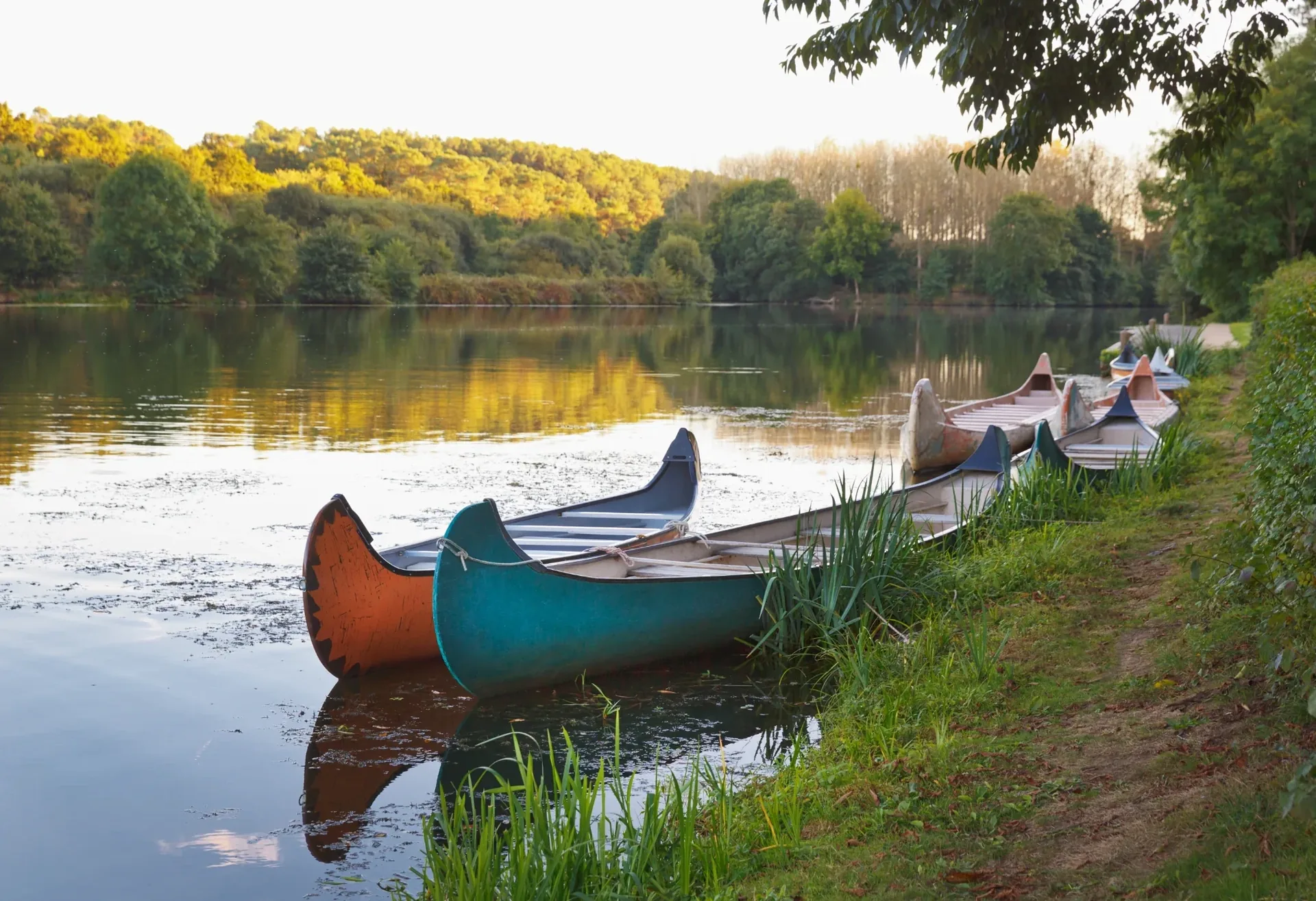 Canoes on grassy riverbank at warm sunset, calm reflections, and golden light
