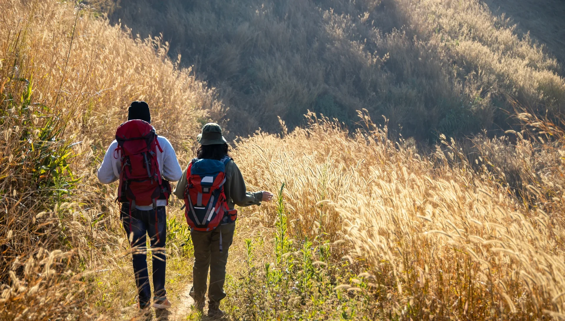 Two hikers with backpacks trek through sunlit golden grass on a rolling hillside trail